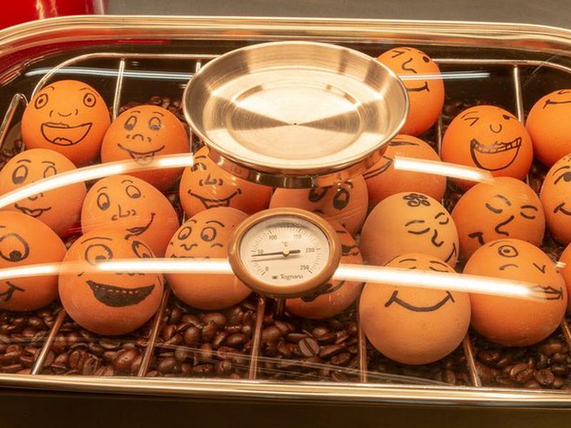 D0A59C6E2B2A92CD61DF366DCD7DEBC5