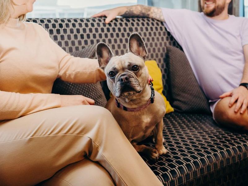 07466172AD0C240E04F65773847E4D75