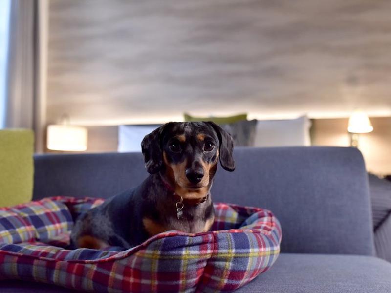 E981F9F0046B99560F9F3B6A3E6490C3