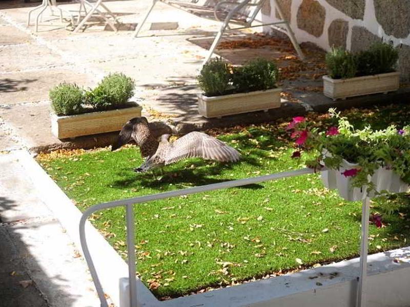 2F602C4EAB520C6ECE2B8C0125678DC2