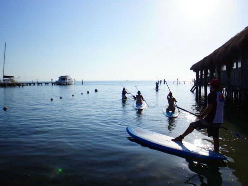 7AC5B46CCC3AE0DCF138BEB23519CF89