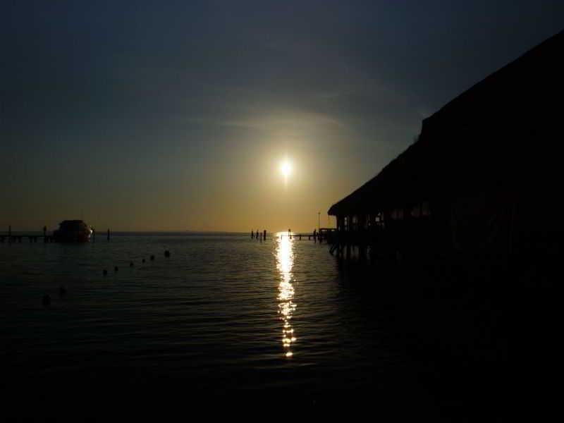 AB17933A642F5254BB2EFD1502C36CA0