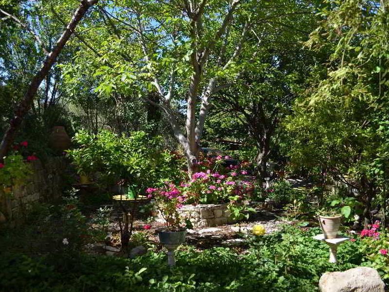 C8AD00FED877D11F3B47F775F8E3CC00