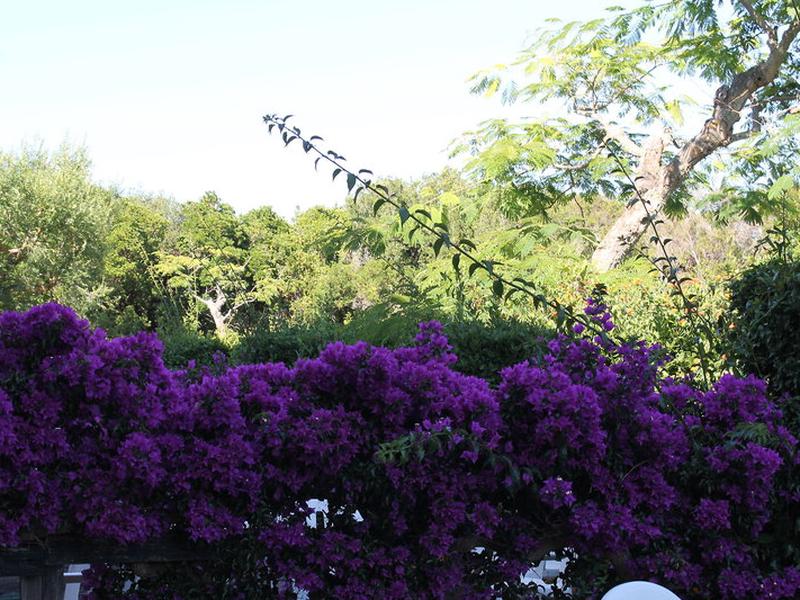 A1D0900F1D90AF0F9599CB8DF01769AE