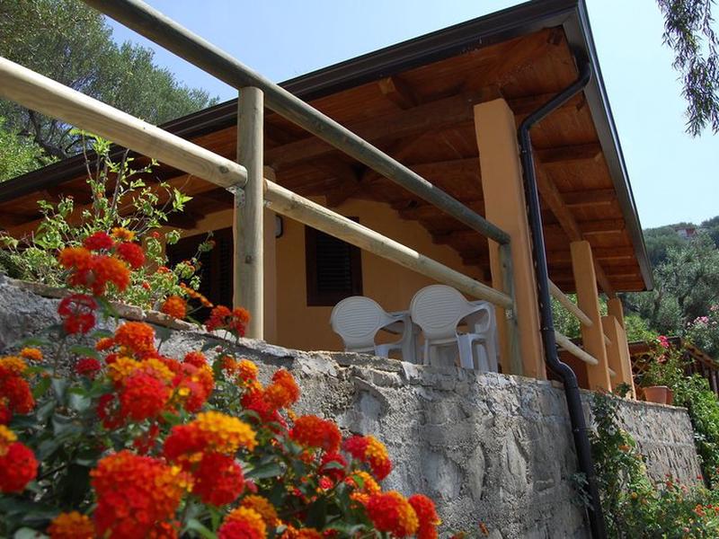 77BA60710E12C8CD245621E6993AED41