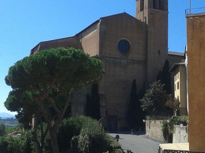 51E9D3712844C2DDEDB18025F366B270