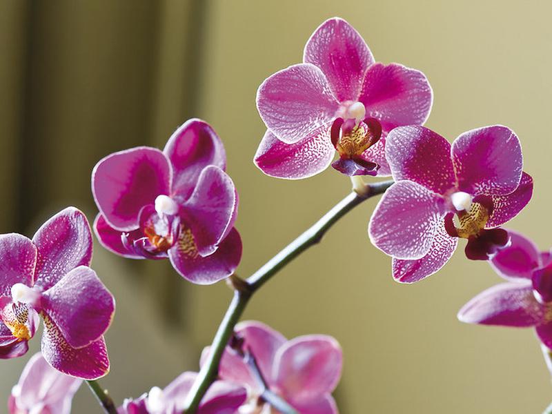 1CA2A33331F6556086FAC109F2BF8C1E