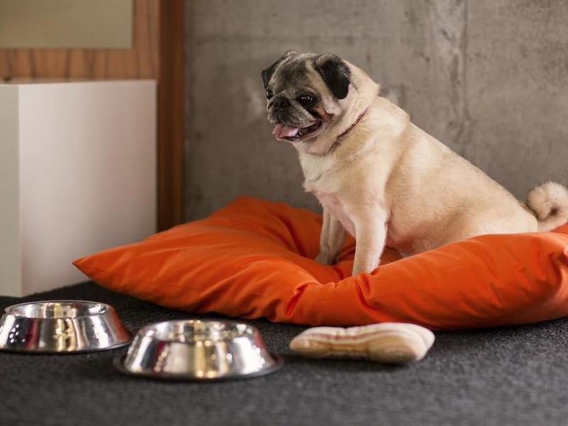 8D79D16C34558C8F5B409FFE7AEA7417