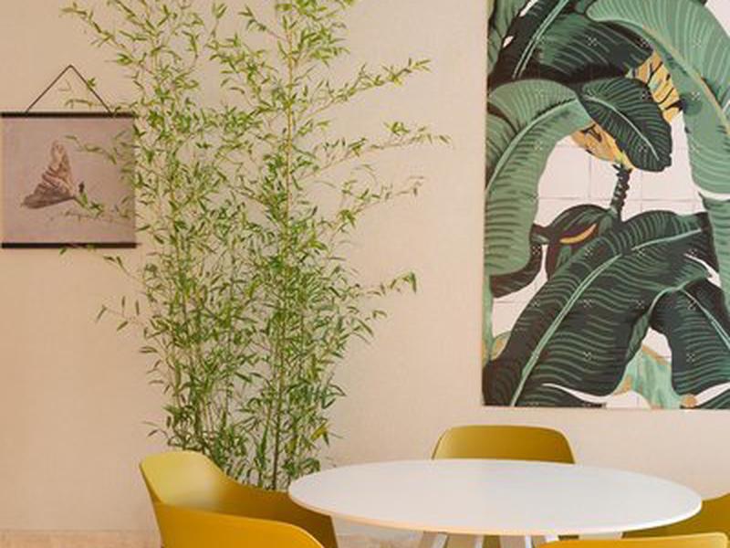 71215D7E9B5C1ECC537D1345F3ABE137