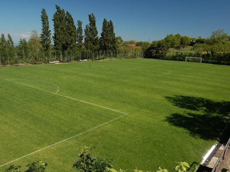 B0C7F9F7F1991D6726D2C2D71C36940E