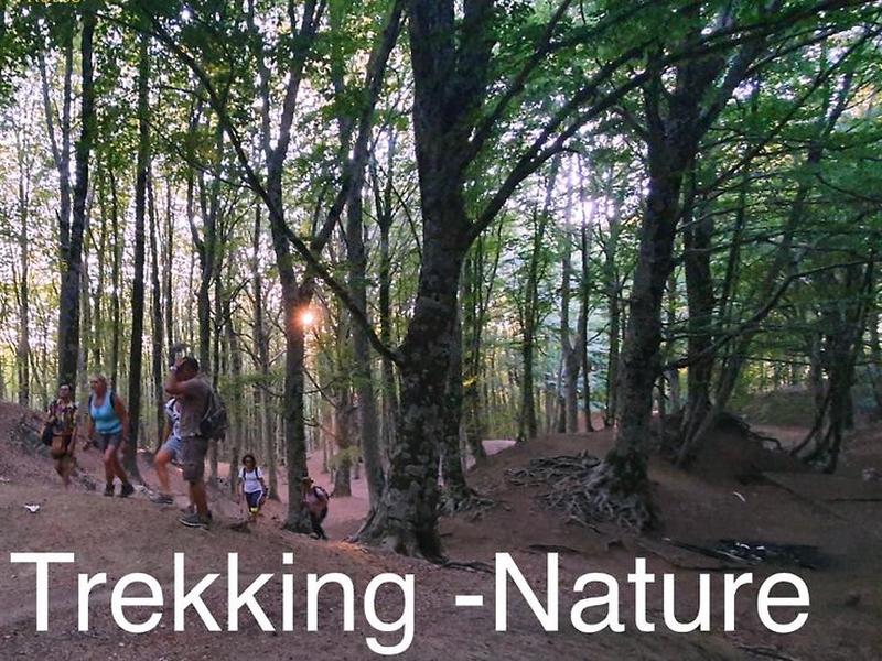 BA21FCEBD3234721E5EEC5726A9DDE0D