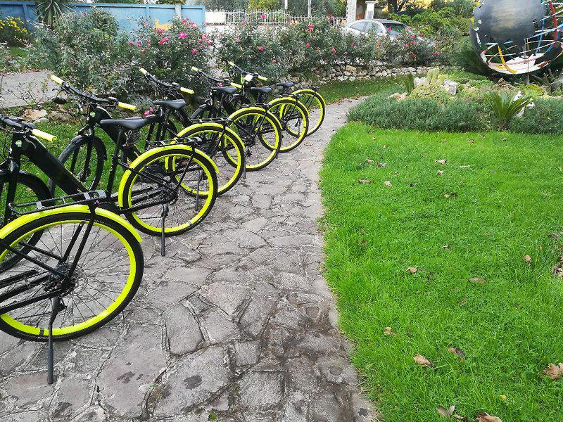 EB3B5576309D684FCEFB6CE4F8CBFBD1