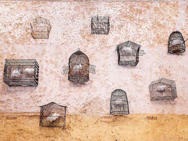 F2FF614511F7DC0FC3F3CCD7A80D4644