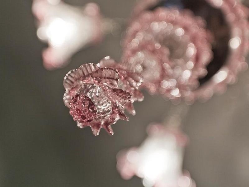 8F9BB9946FB4CC2BEA8EF2FBA8C1659B