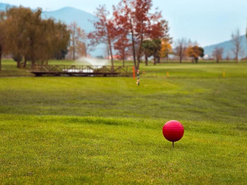 FA6F612F059900546FD109D3ED7A7D6E