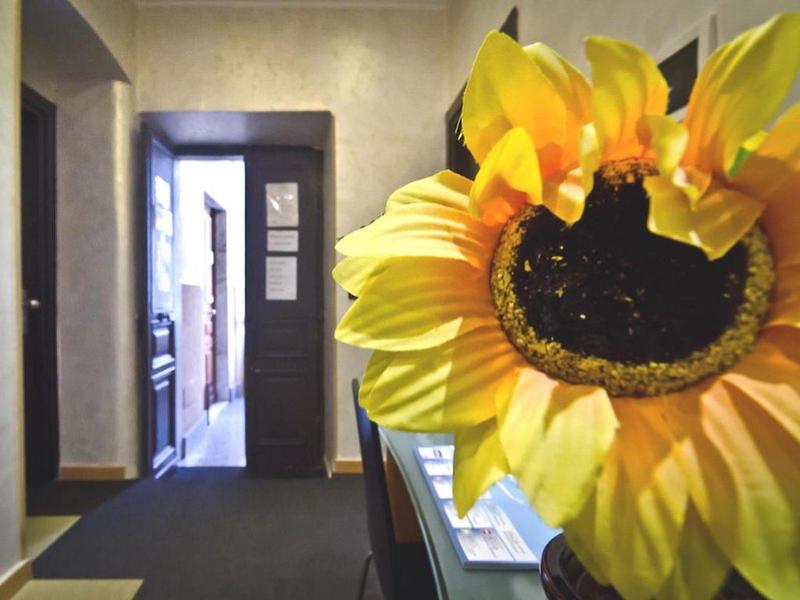 3A044E5E606B2CF97A5A732DDD33AD7D