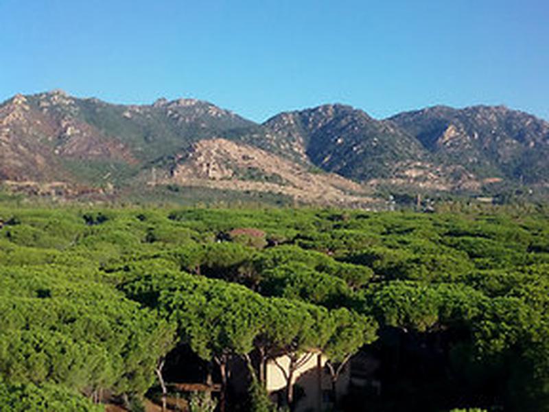 974AEAE37569099294695C98F02429D2