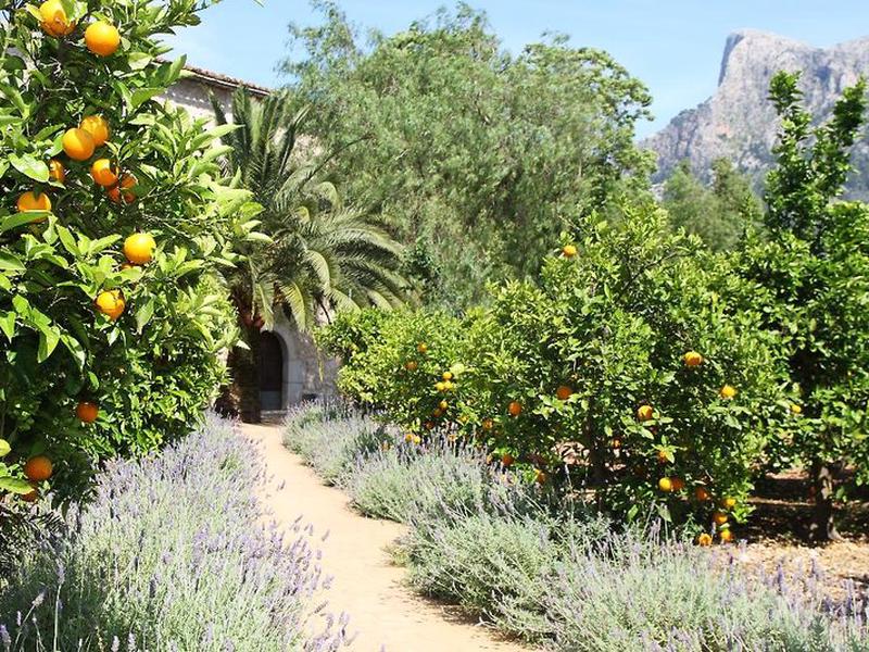 F56D3E2AE39D9AB05E3CAAA1E9C06070