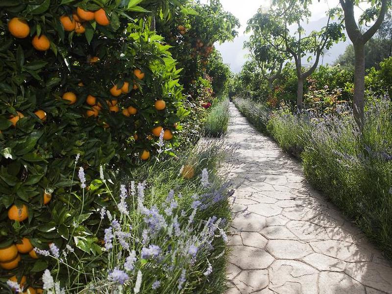 A39E206E2BADB9C9BD2723662A125E7D