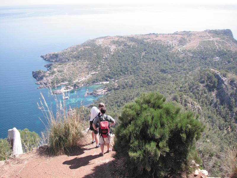 95E4A67C015118896A542987C1483C84