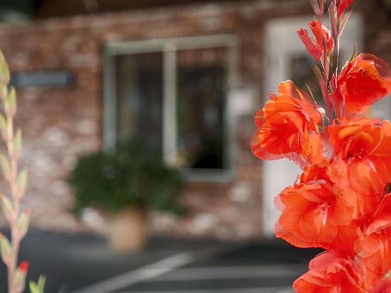 768F6590C6A65CA2AAD2E0F0CF72309E