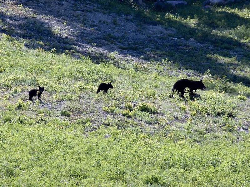 E2EC70499F4FF3AD2E6D772D93C61FAD