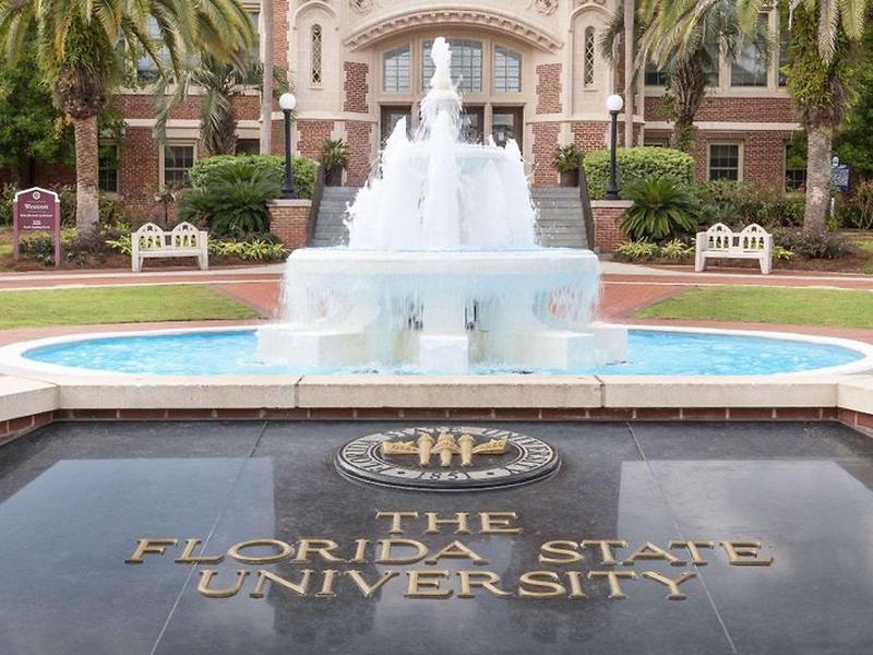 7D59E0BF8BDD247FD9A7F38B177608C3