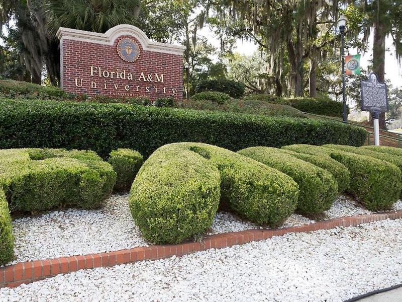 C7EFE66EF47076877CE84F5669893D51