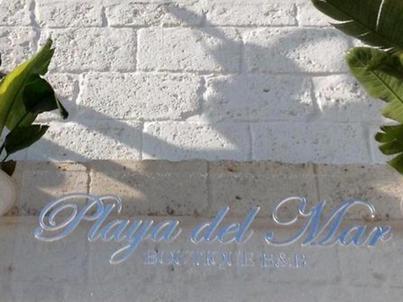 E5BE366B6F2C6A7CFF3EEDDE2DDF7660