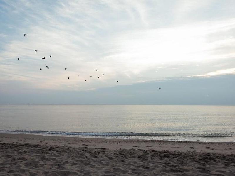 7AC70D171D092A71D5F8510854045B75