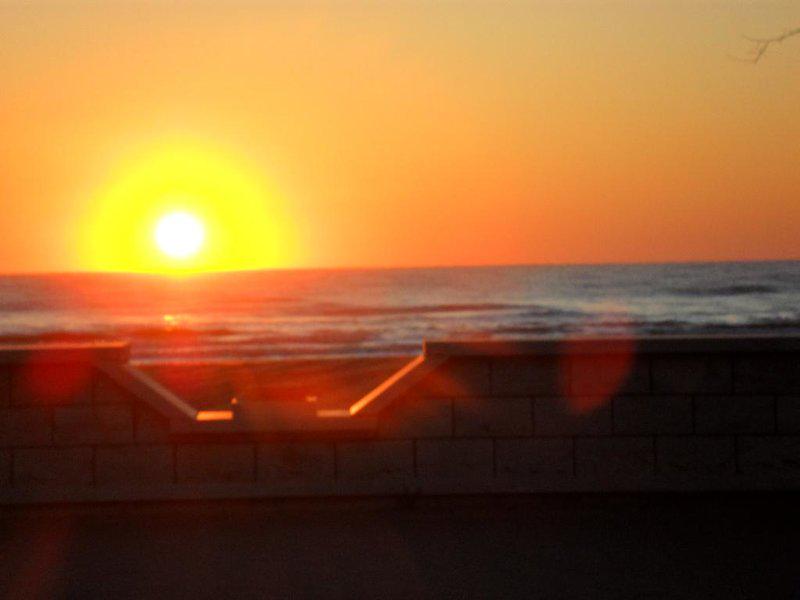 61D39D214D17C058A6A1BD91263624BA