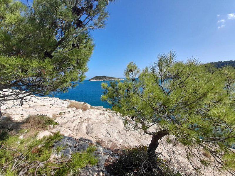 20159EF3D430A6FFDBC3EC75589C1DEF