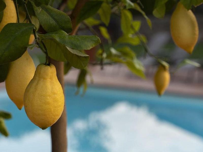 28F4B7389701C9466E2460EDC48D65B6