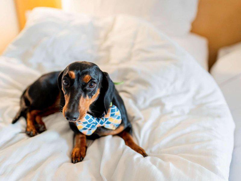 B5473B41C68AC975F4672FB33EED184F