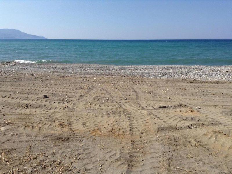 A1E6FE856EB1FF40744052719DDEB3F2