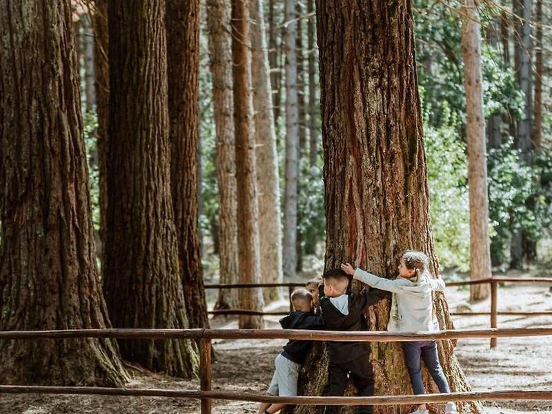 101AA5159B6D62604C5735D70B34176E