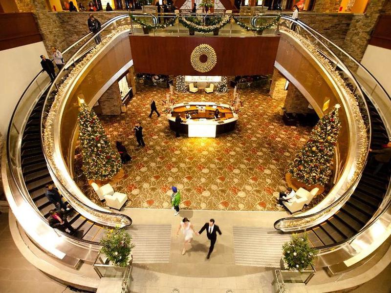 E6436FF82B2C35B560EB77CEFBF1D45F