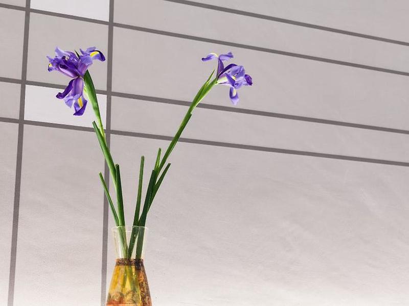 44DFFAB7D9ADE83DD4A090F696D9B493