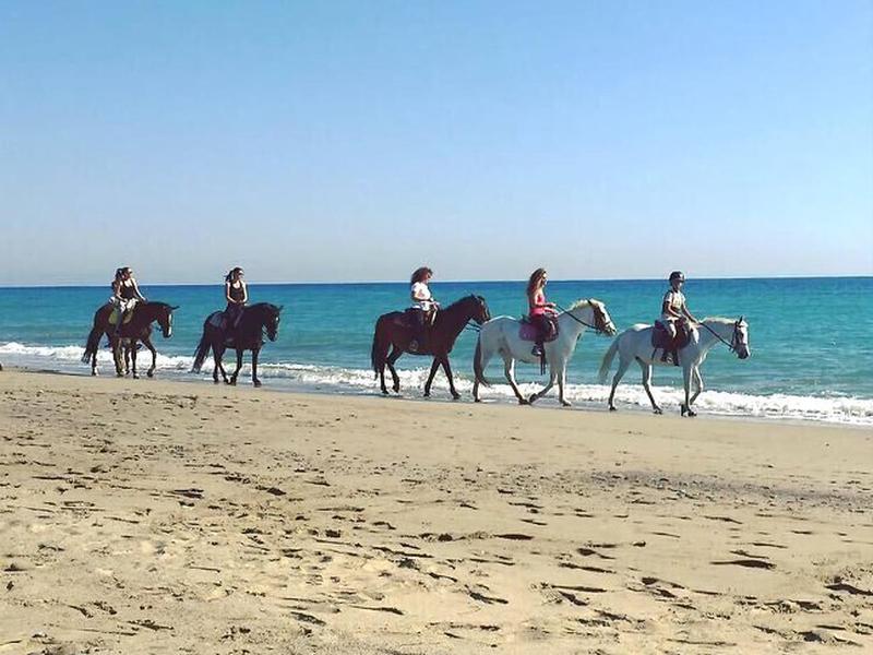 BFFF7234051EF775C43553C4F683B3C0