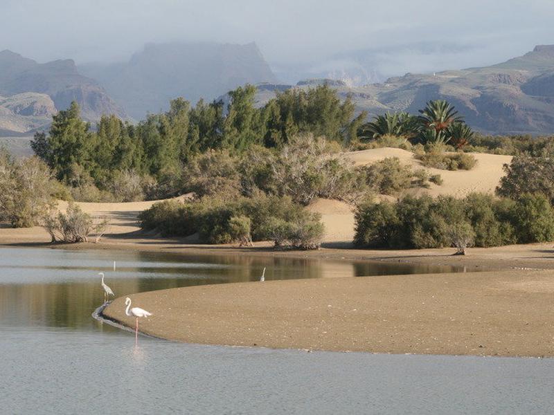 6D76C42A52381C9F9D77F53C338181F7