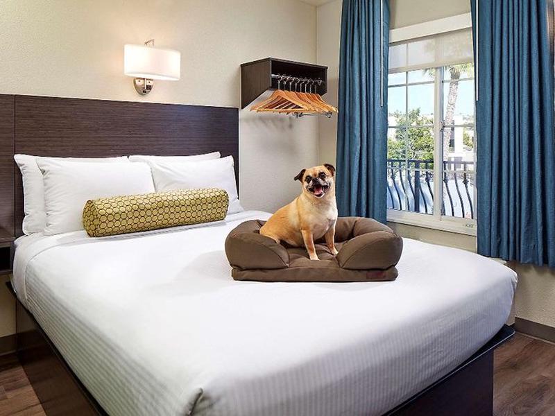 1E292C250155DF1B6AB1CA54175B89EA