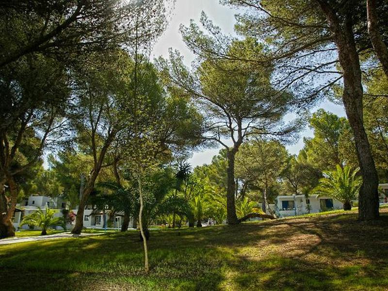 DA4355E68A555D503375655A1B45DF1B