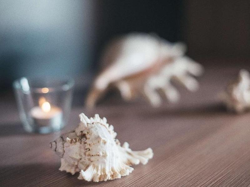 63EC898138F34AE1A1CE967D155C5408