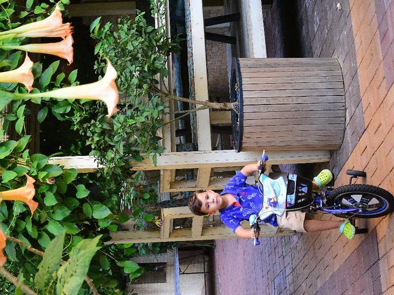 8CF8D34CA0B4C2FF6645763A02381068