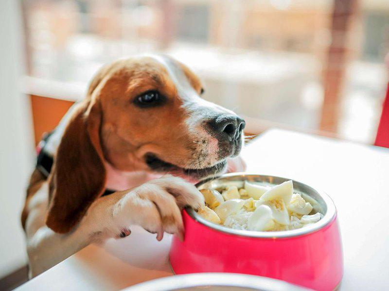 773B8D0981B9335F2F21EF79FCAA24F7