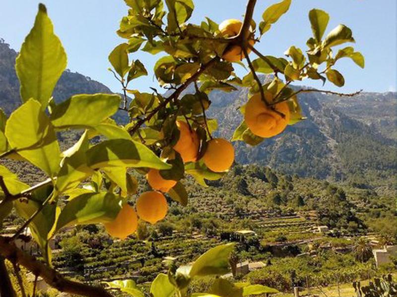 D4BADDBE0D77DE5047ADF4276F85C7EE