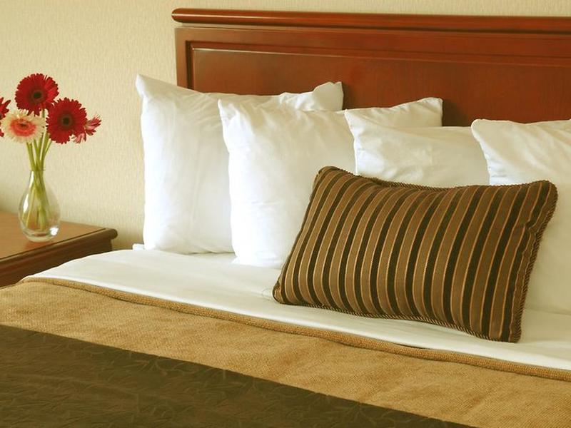 07E7E84E857BAC02762B7B4E01FFC79A