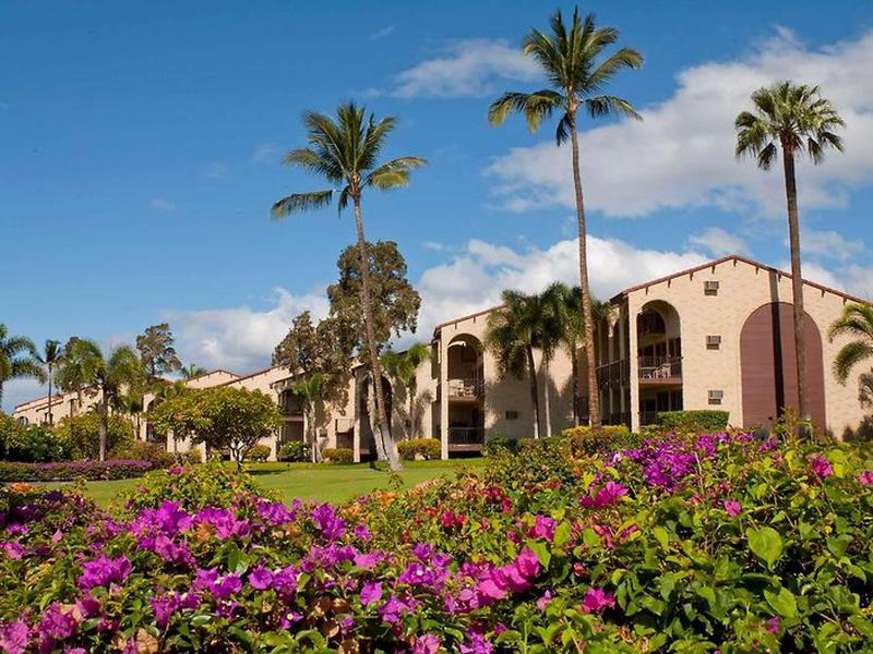 0061585673F3FB1D7C0A3B9E6CF607F3