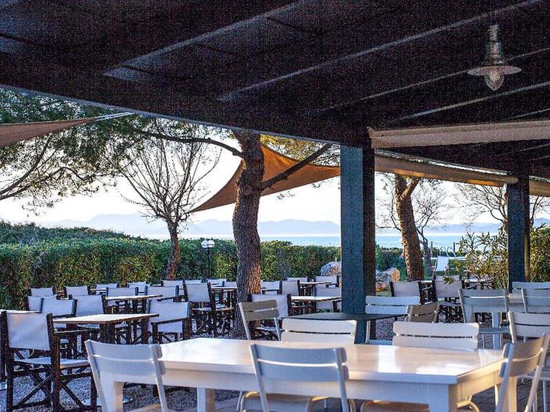 9EAC291446A2552D4441C0574927D946