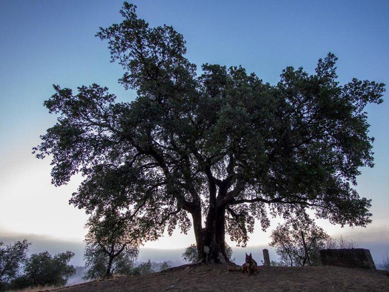 19136CD5ADB8C1C4B305FC37336EEB09